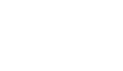 Logo VOX Geneva